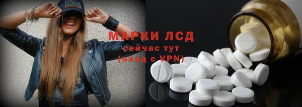 прущие грибы Анива