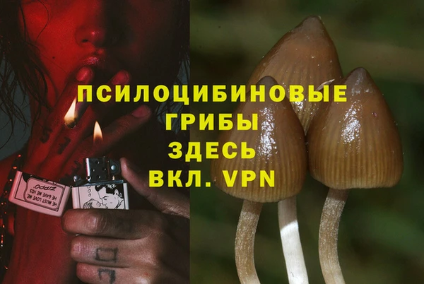 первитин Бородино