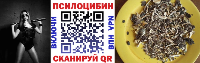 купить наркотик  hydra ТОР  Галлюциногенные грибы Psilocybe  Верхнеуральск 